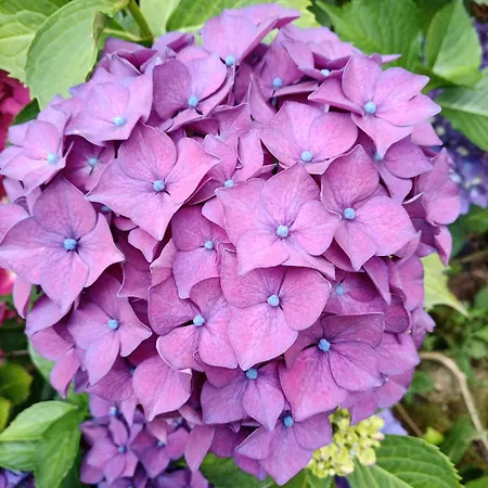 La Tentonniere Appartement