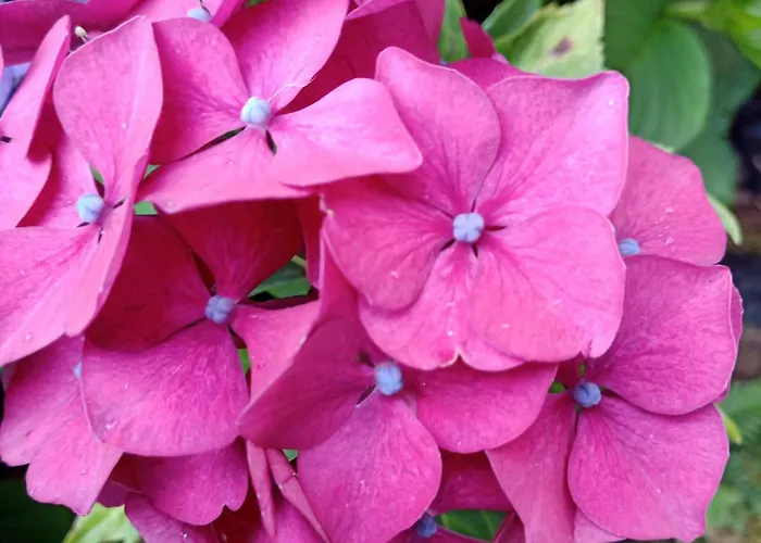 La Tentonniere Apartman