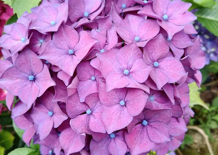 La Tentonniere Apartment